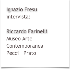 Ignazio Fresu
intervista:

Riccardo Farinelli
Museo Arte 
Contemporanea
Pecci   Prato