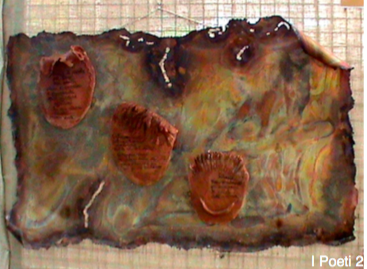 :Sf-Fig:pec6.tiff